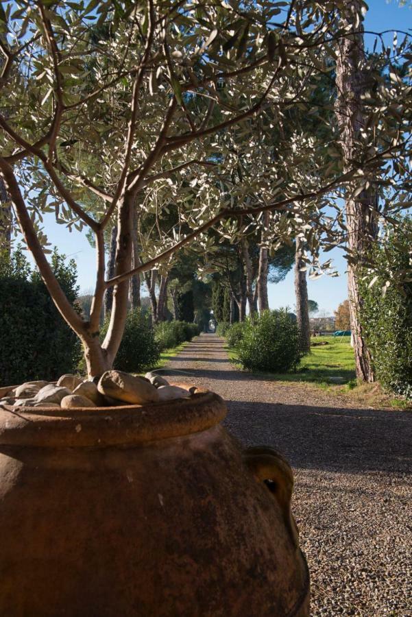La Vecchia Cantina Guzzardi Lari Exterior foto